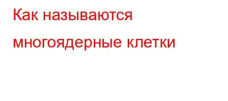 Как называются многоядерные клетки